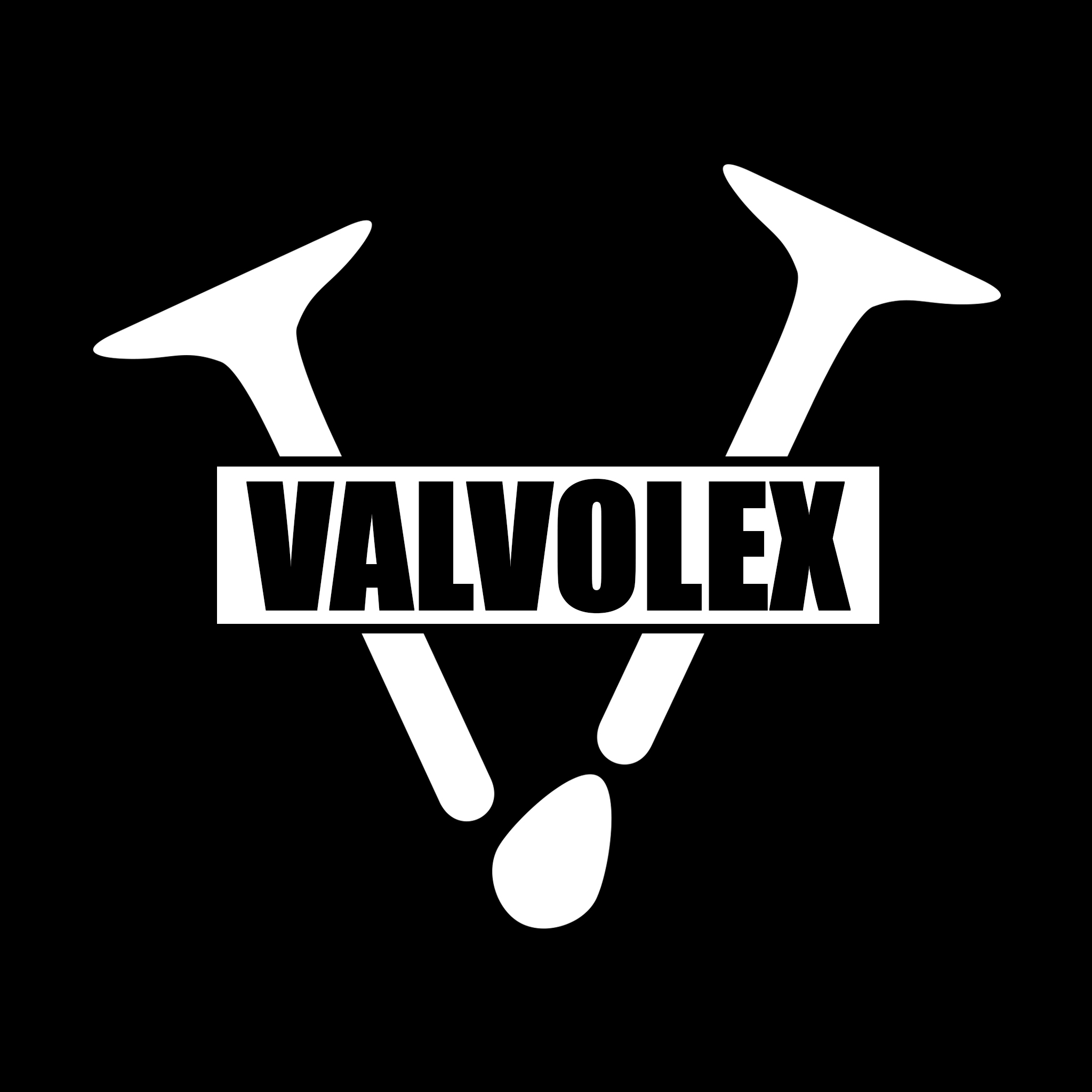 VALVOLEX